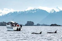 Sitka